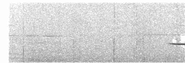 Münzevi Bülbül Ardıcı - ML242219631