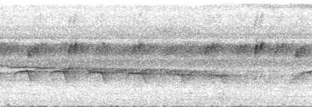 White-necked Thrush (Gray-flanked) - ML24223