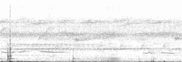 Kurzschwanzrötel (poensis) - ML24227801