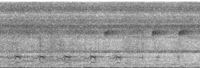 Gray-headed Kite - ML24228