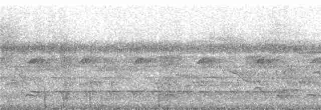 Серогрудый мухолов - ML242284