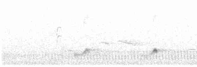 Eurasian Nightjar - ML242322171
