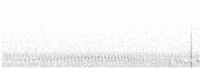 Eurasian Nightjar - ML242322181
