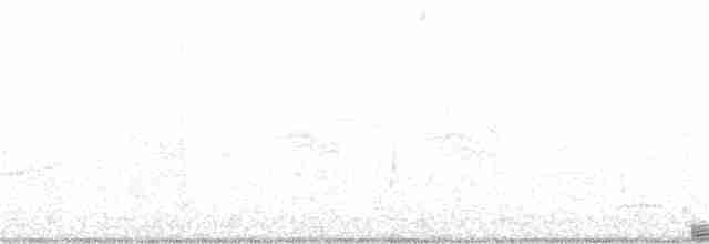 chřástal virginský (ssp. limicola/friedmanni) - ML242323691
