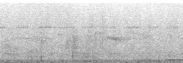 Горличка вохристогруда - ML242324