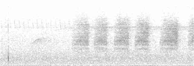 Karolina Çıtkuşu - ML242324161
