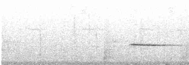 Серогрудый мухолов - ML242332