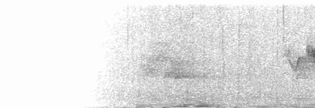 Cerulean Warbler - ML242343991