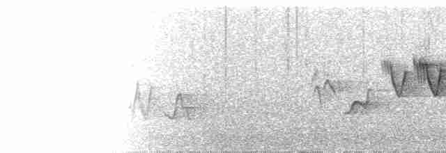 Cerulean Warbler - ML242344191