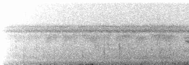 Серогрудый мухолов - ML242355