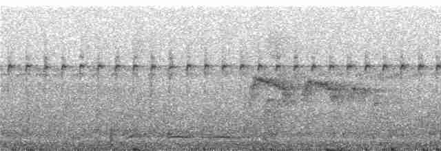 Серогрудый мухолов - ML242358