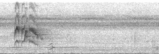 Сероголовый бентеви - ML24236