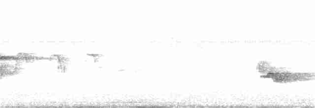 Каролинский крапивник - ML242360751