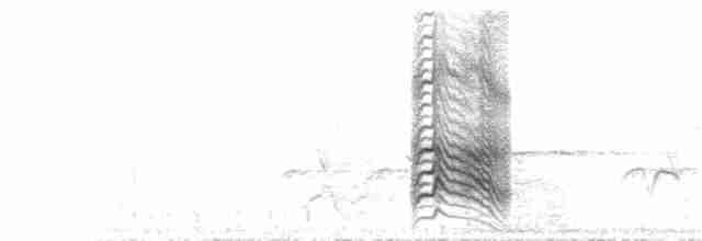 Cratérope de Sharpe (sharpei) - ML242373841