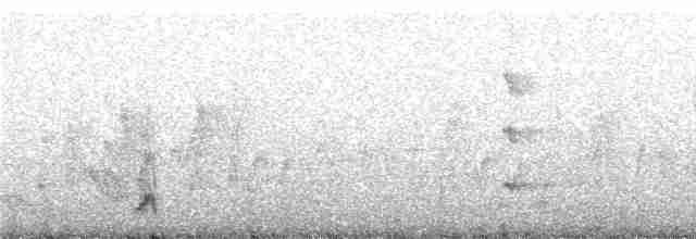 Weißbrauen-Olivtyrann - ML242395