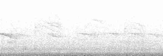 Шуляк гачкодзьобий (підвид uncinatus) - ML242414
