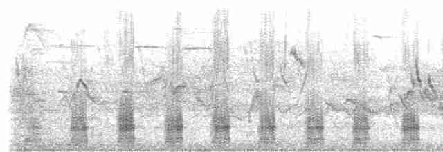 Common Merganser (North American) - ML242431411