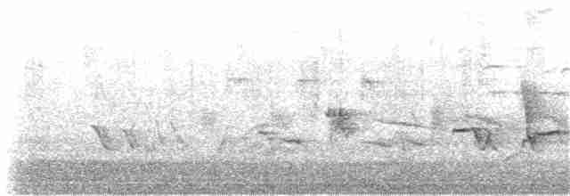 Oriole des vergers - ML242436841