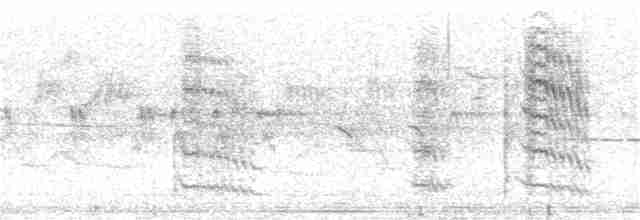 Дятел-смоктун червоноголовий - ML242447161