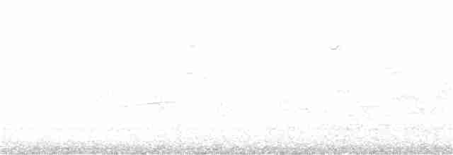 Paruline à calotte noire (chryseola) - ML242448161