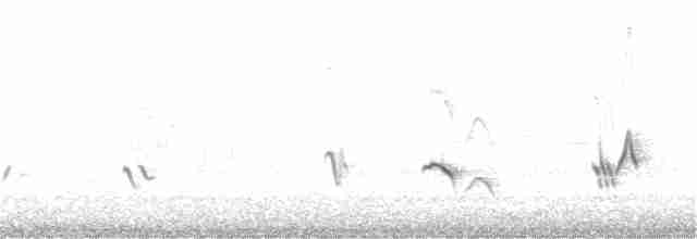 Black-headed Grosbeak - ML242449941