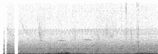 Striped Cuckoo - ML242453931