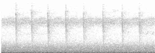 Swallow-tailed Hummingbird - ML242454581