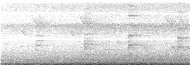 ハイムネモリクイナ - ML242455061