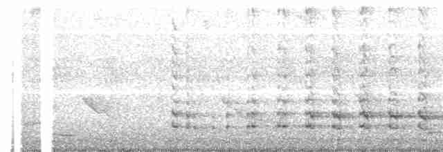 Common Gallinule - ML242455211