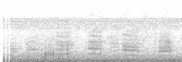 Neotropic Cormorant - ML242456651