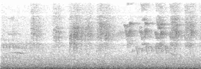 Амазонский зимородок - ML242459741