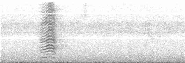 Aratinga Ojiblanca - ML242461261