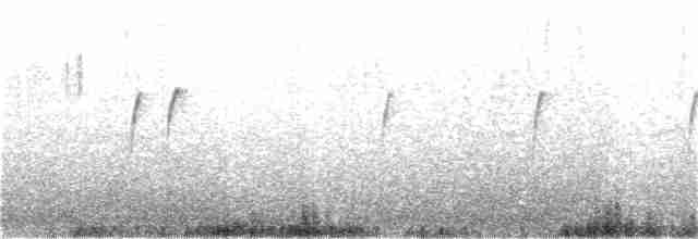 Белоголовый мухолов - ML242464821