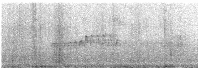 fjellfotelenia (olallai) - ML242469