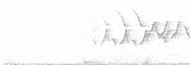 Common Yellowthroat - ML242491661
