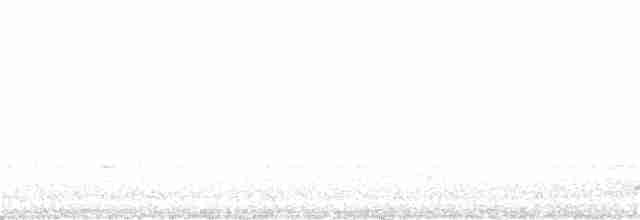Masked Lapwing (Black-shouldered) - ML242492071