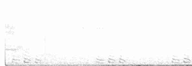 Black-billed Cuckoo - ML242493181