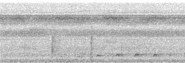Синешапочный трогон - ML242495