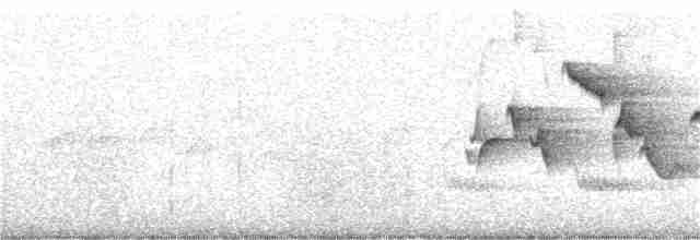 Желтогорлая овсянка - ML242503131
