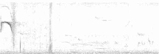 Tawny-bellied Babbler - ML242516061