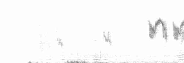 Western Yellow Wagtail - ML242528191