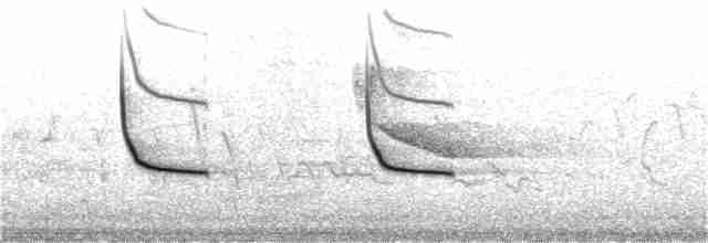 vlhovec červenokřídlý [skupina phoeniceus] - ML242531571
