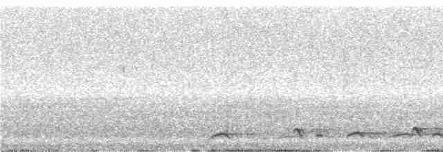 Lir Kuyruklu Çobanaldatan - ML242587