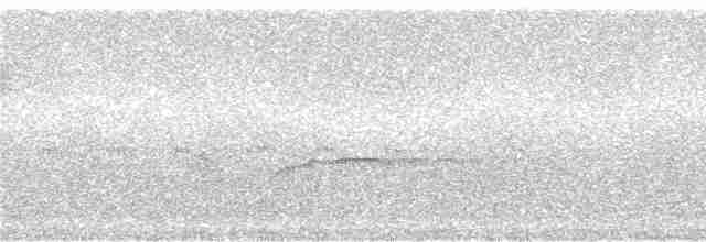 Tangara fourchu (darwinii) - ML242625