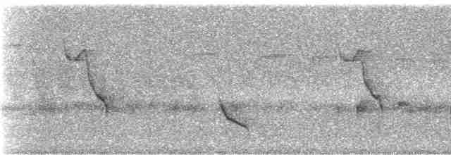 Танагра-короткодзьоб чорновола - ML242638