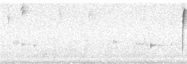 Gray-hooded Bush Tanager (rubrirostris) - ML242640