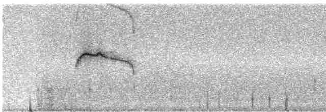 Мышиный чертополошник - ML242655
