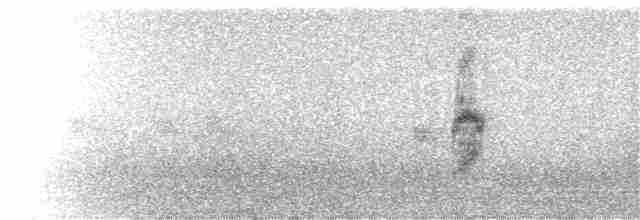 rorýs bělohrdlý - ML242661071