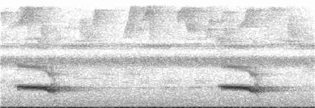 Channel-billed Toucan - ML242664511