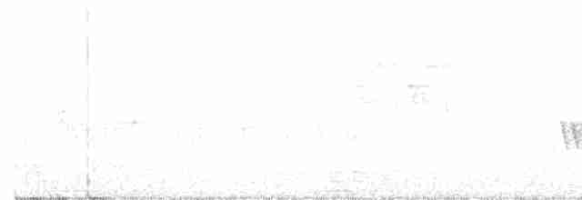 Kentucky Warbler - ML242673711